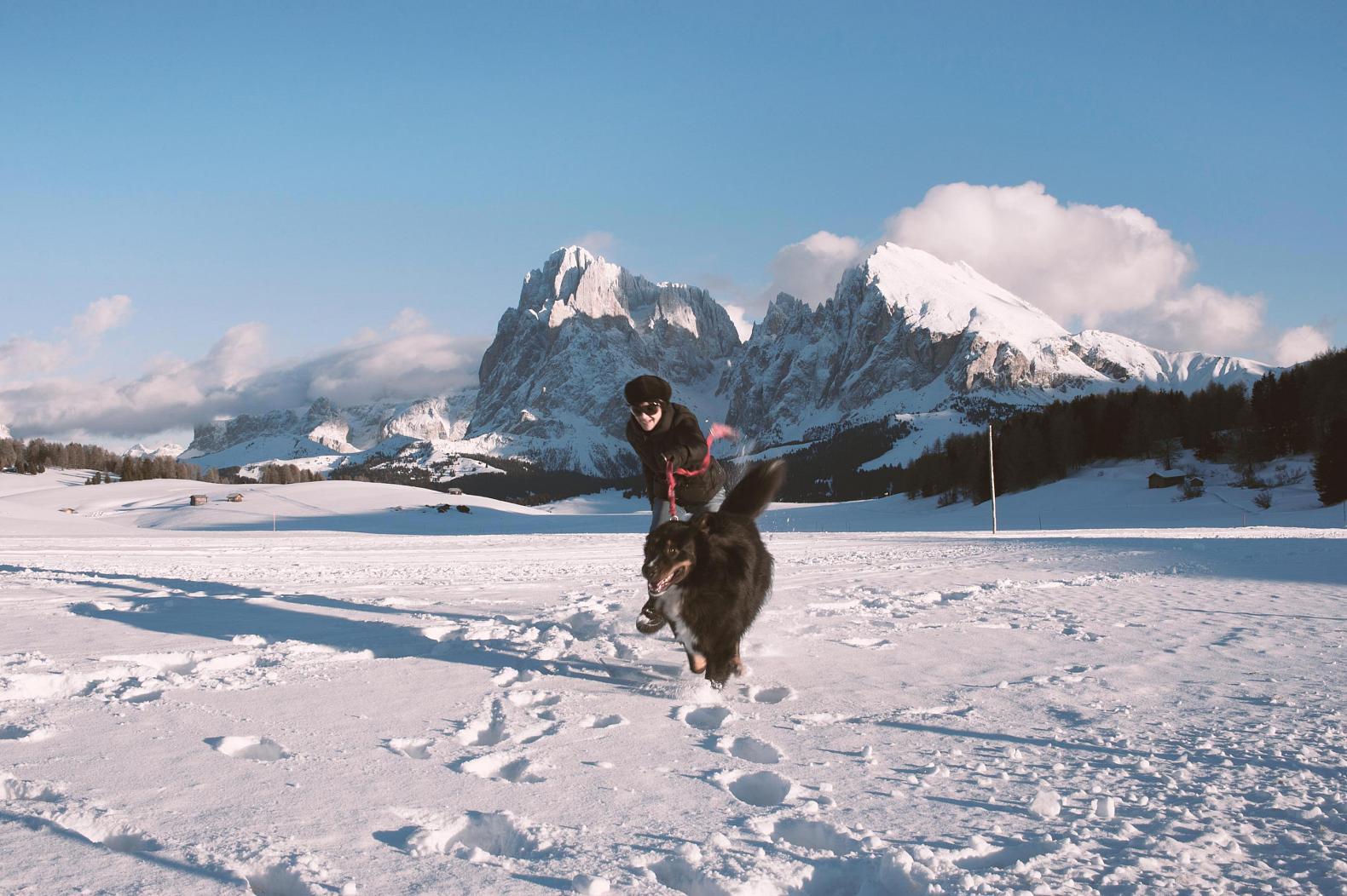 Langkofel Plattkofel Seiser Alm