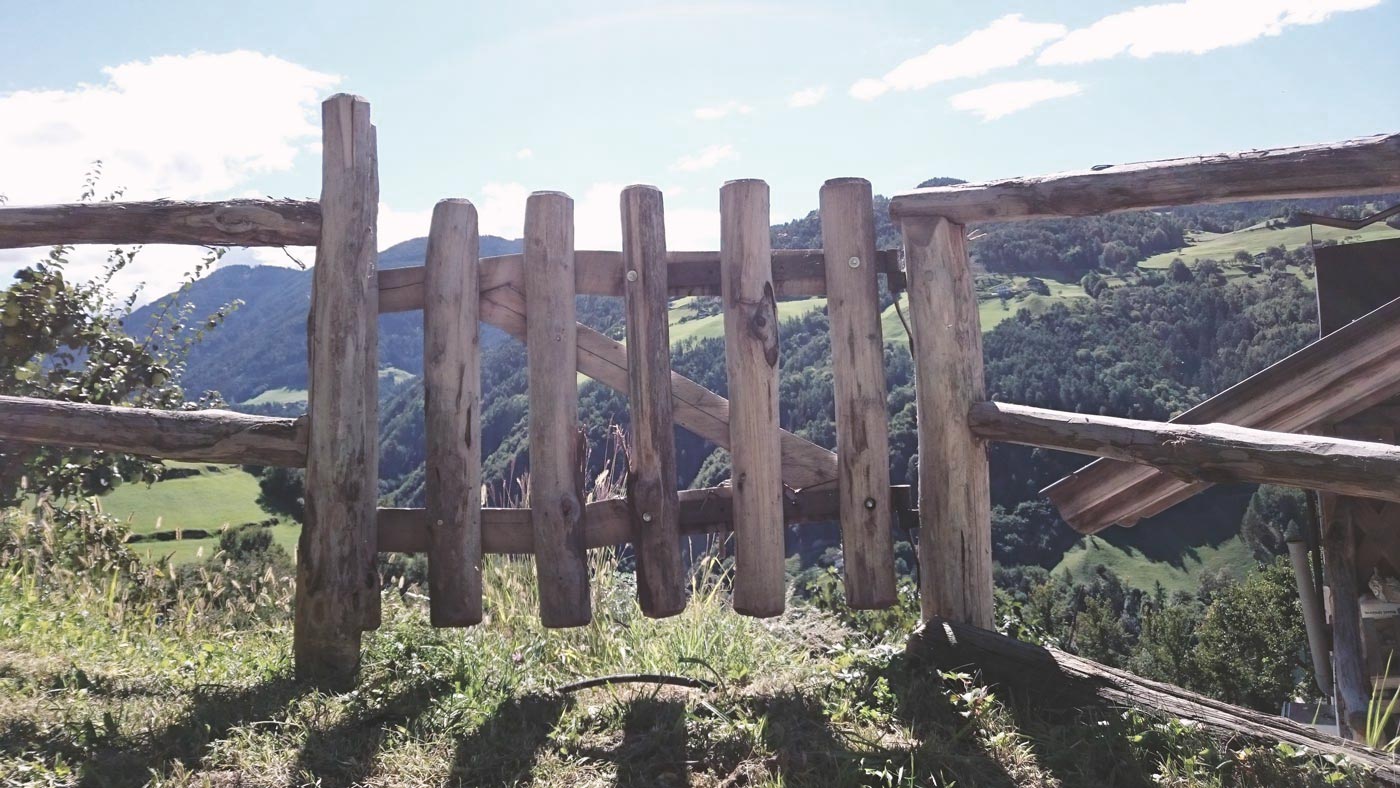 Fence in South Tyrol