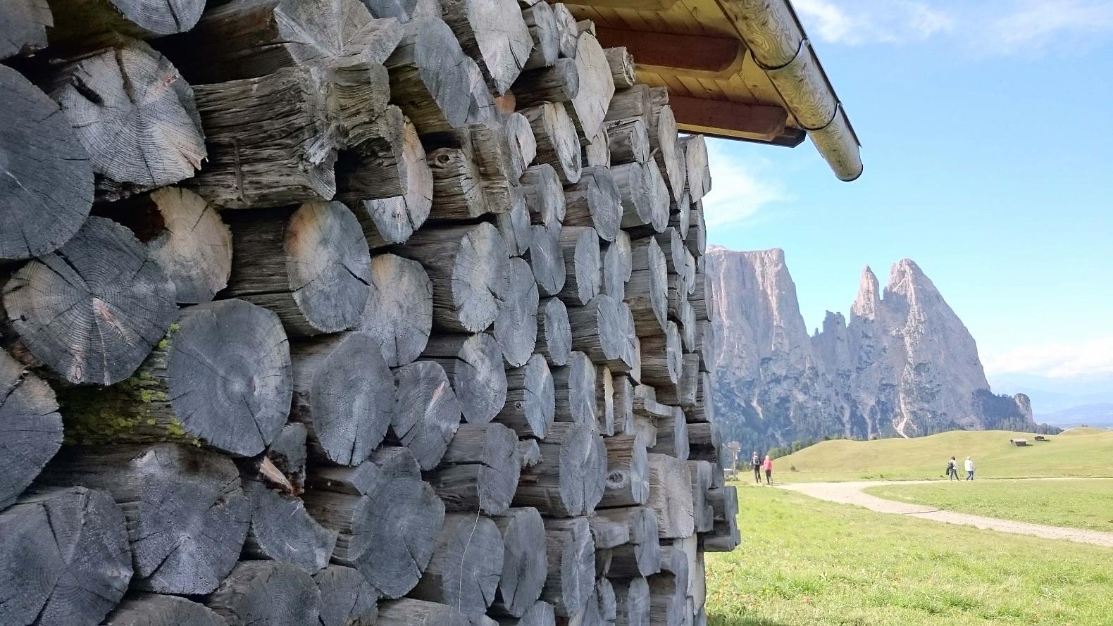 Sciliar from the Alpe di Siusi